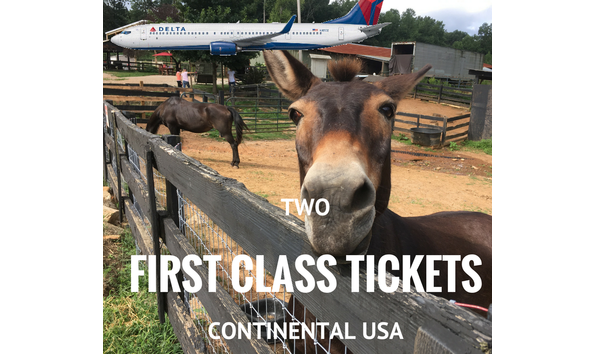 Big image two first class tickets