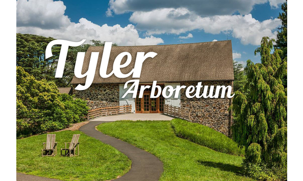 Big image 2488419 lg