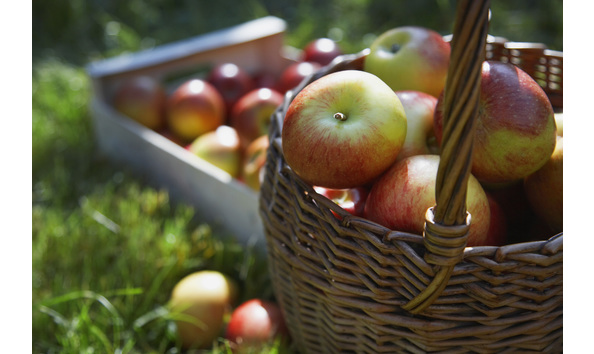 Big image apples in basket