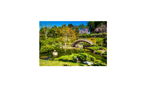 Big image mini magick20200214 15477 gvk6a