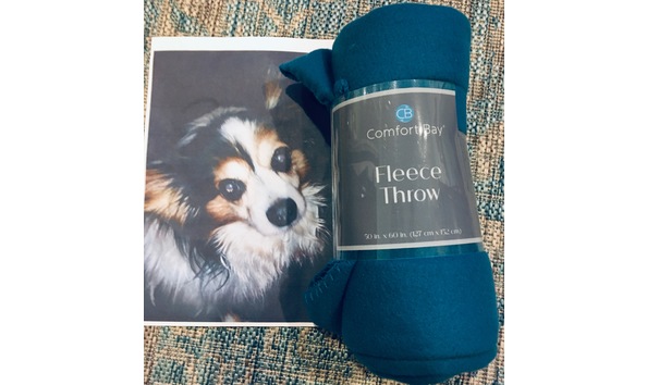 Big image fullsizerender 5