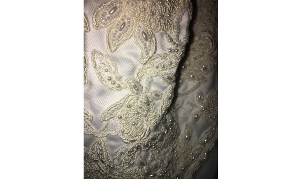 Big image img 9711 1