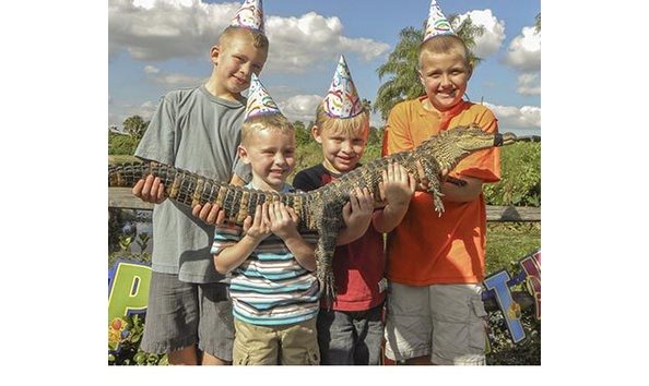 Big image gatorland 1