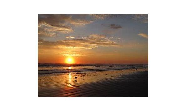 Big image new symrna