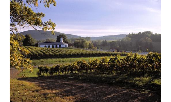 Big image 5d8f9f9c23175.image