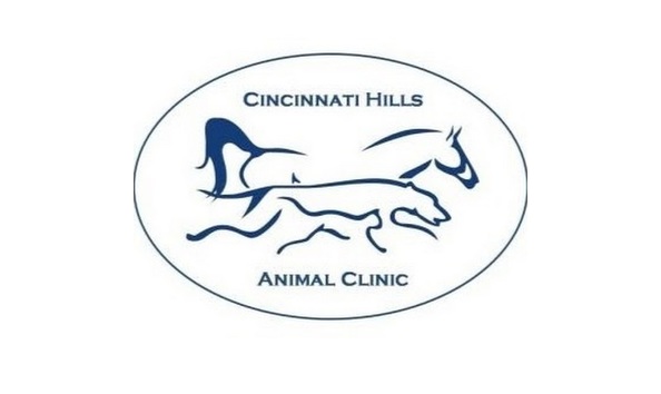 Big image cincinnatihillsanimalclinic1