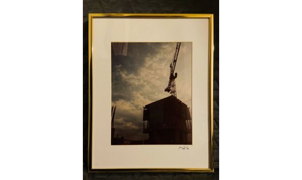 Big image sarah suzanne noble crane sunset crystal 