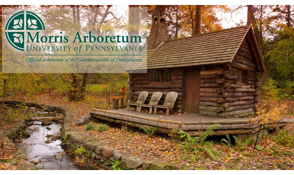 Big image 618a55d703a93591787184acd06d6b3f