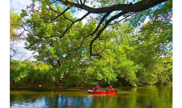 Big image c18fb404b91c9edcb6dba4e692967c83