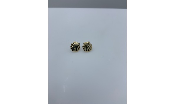 Big image seashell earrings