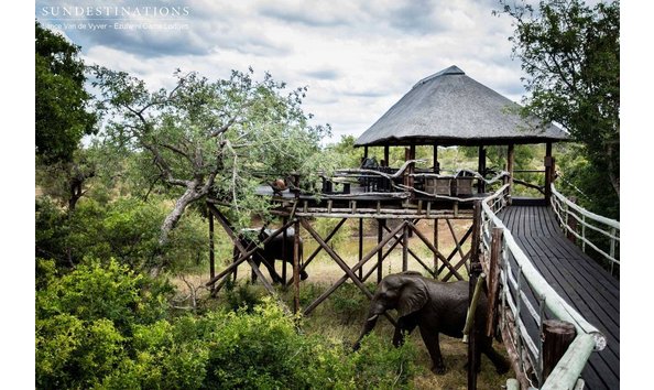 Big image ezulwini game lodges  5 