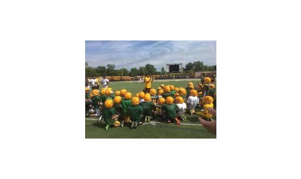 Big image avesfootball1