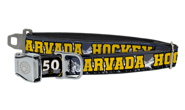 Big image mini magick20200225 33564 1vk0t8n