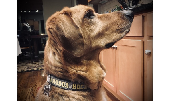 Big image img e5313 1 