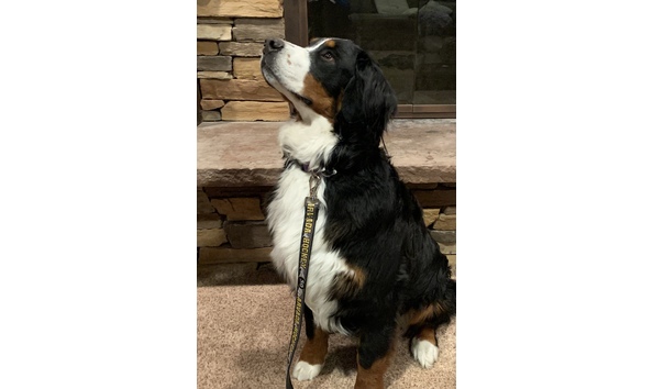 Big image img e5323 2 