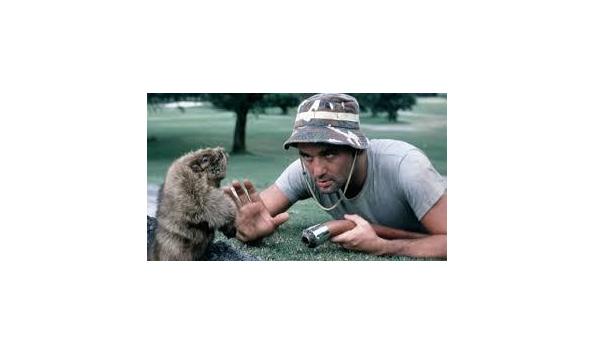 Big image ceisports caddyshack movie poster1