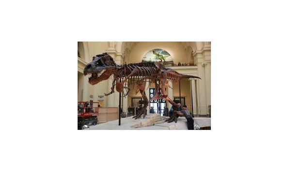 Big image chicagofieldmuseum2