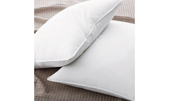 Big image downpillows1