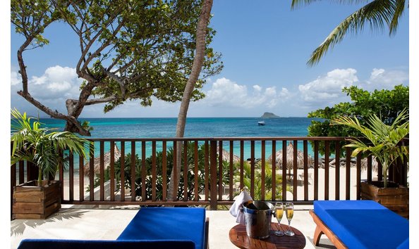 Big image palm island  1 