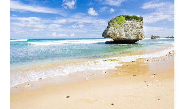 Big image bathsheba park