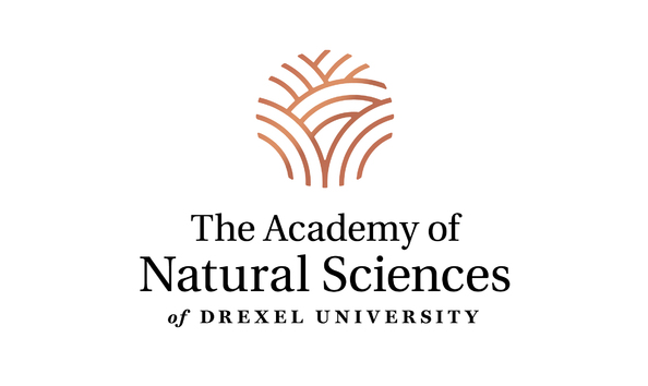 Big image 7099596 logo