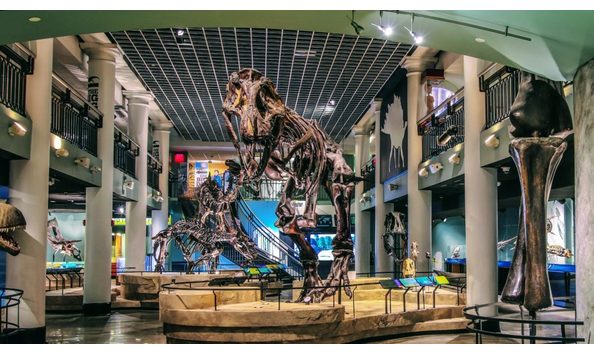 Big image academy of natural sciences dinosaur hall new crtsy mike servedio ans 2200x1237px 1024x576