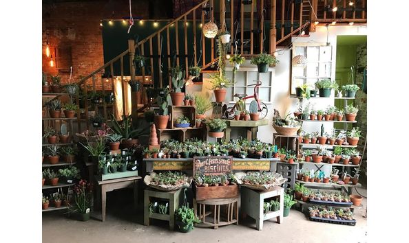 Big image 67221627 10158771100512306 967462626332246016 o