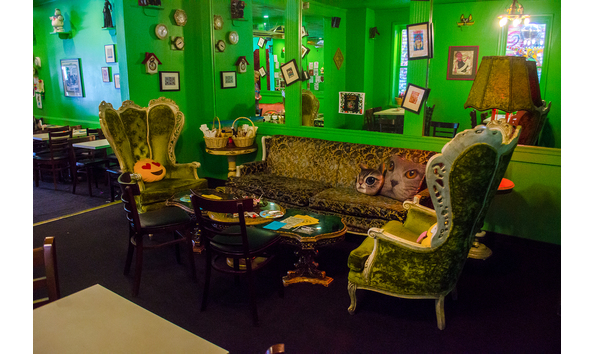 Big image tm downstairs back lounge