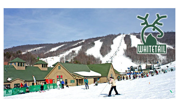 Big image whitetail main