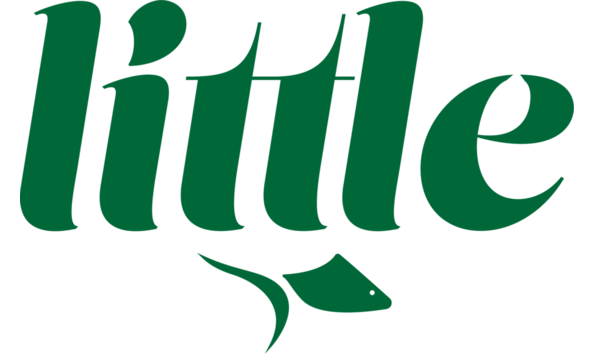 Big image little fish final png