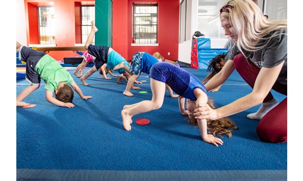 Big image 70339516 10157509243369035 1466314921619750912 o