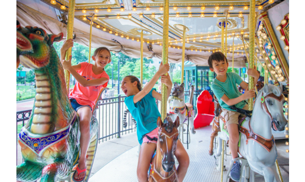 Big image resized for website