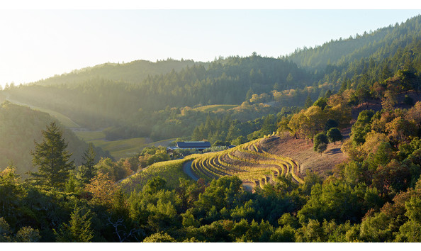 Big image futo winery