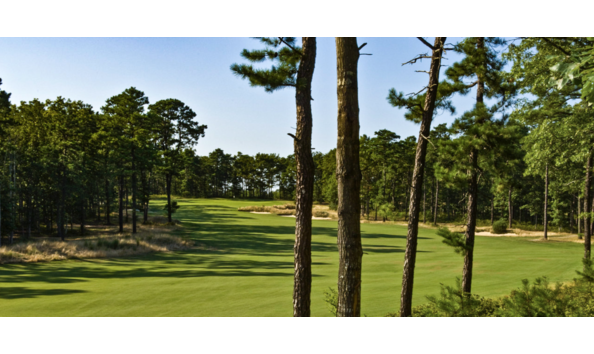 Big image screen shot 2020 03 13 at 2.08.03 pm