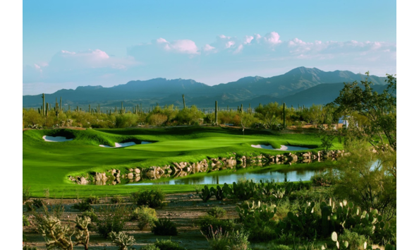 Big image dove mountain