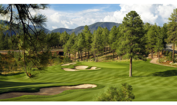 Big image pinecanyon