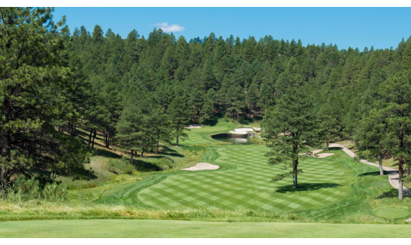 Big image foresthighlands