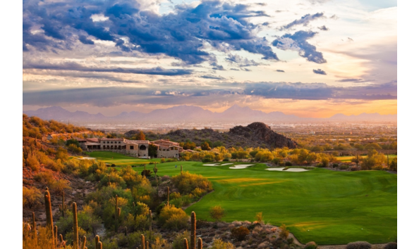 Big image silverleaf