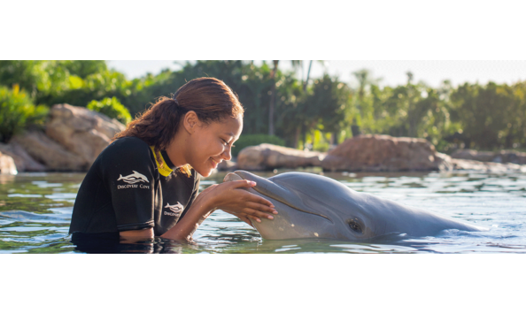 Big image discoverycove 1