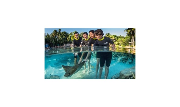 Big image discoverycove 2