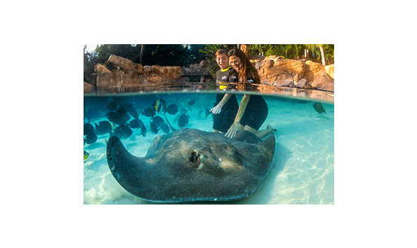 Big image discoverycove 3