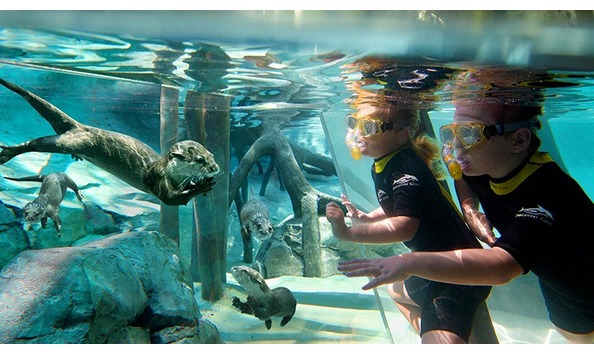 Big image discoverycove 4