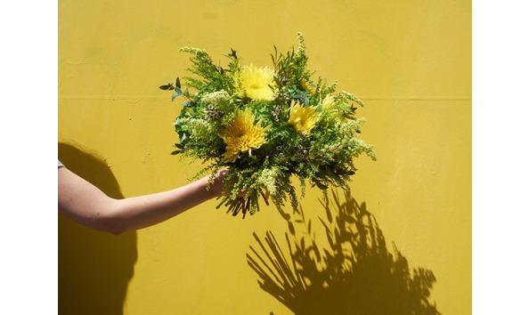 Big image 69132709 2555757317777169 1093187120928915456 o