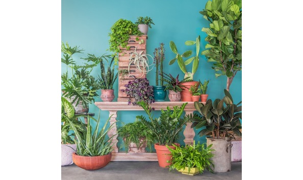 Big image 80696379 10157718213111132 6258778535897333760 o