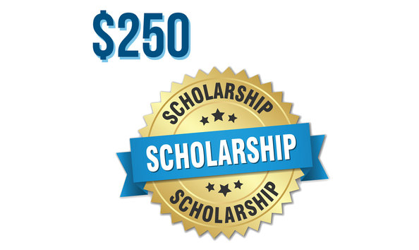 Big image wyso scholarship 250