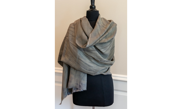 Big image wa 111 bacigalupi 1