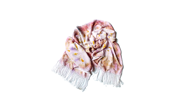 Big image wa  117alisonkelly1