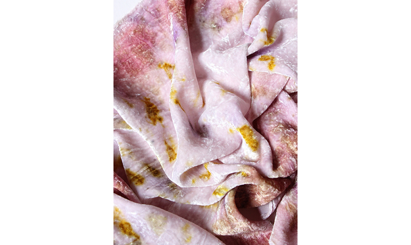 Big image wa 117alisonkelly2