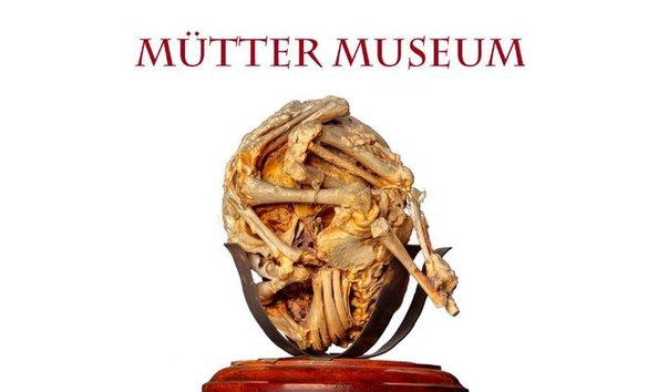 Big image aknv6zwy 400x400