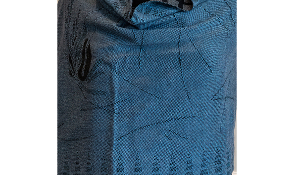 Big image wa 110 enl